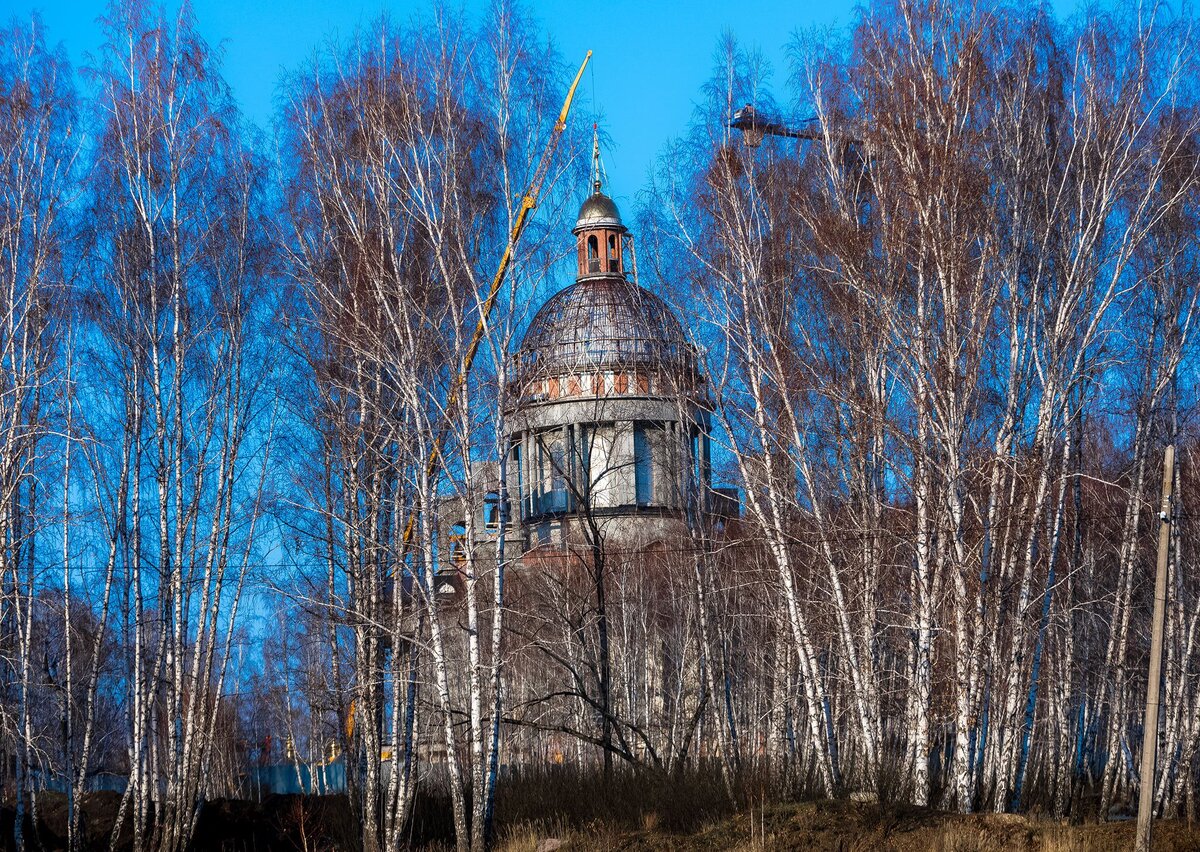 Поздняя осень в Челябинске. Фото Олега Каргаполова (Вечерний Челябинск)