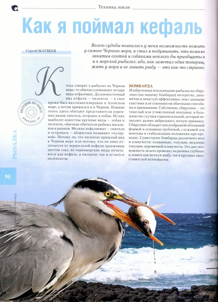 ОХОТА И РЫБАЛКА XXI ВЕК № 11 2020 год