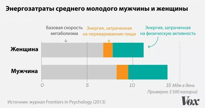 Сколько калорий потеряет человек за день, если он ничего не будет делать |  BiohackLive | Дзен