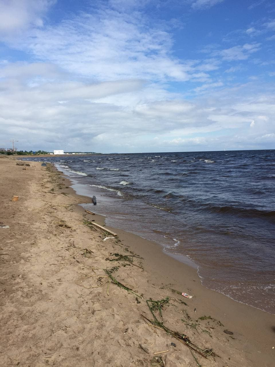фото пляжа из личного архива