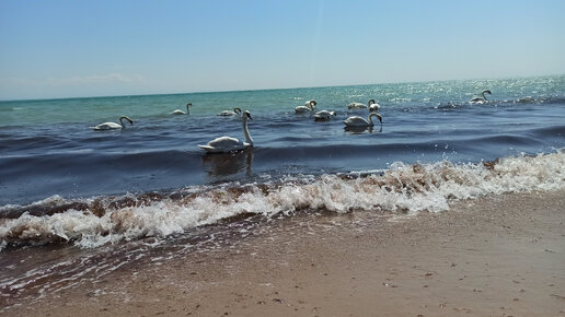 Море волнуется раз. Море волнуется два. Море волнуется три