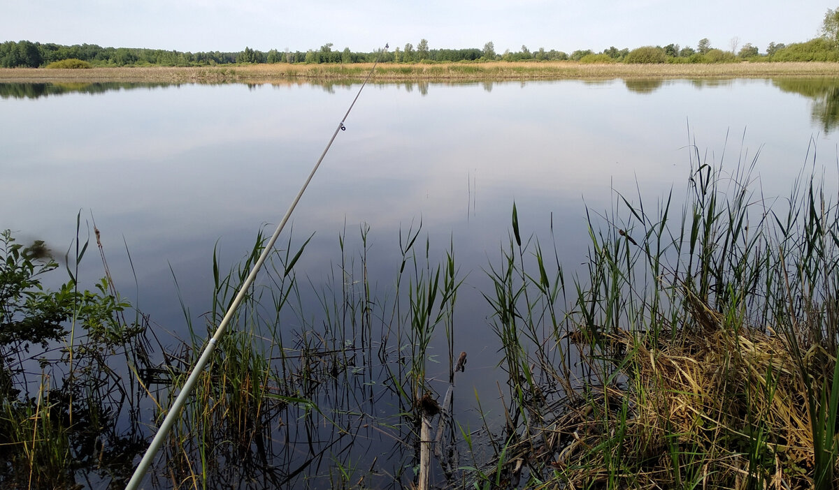Местечко вроде ничего, но линя тут нет