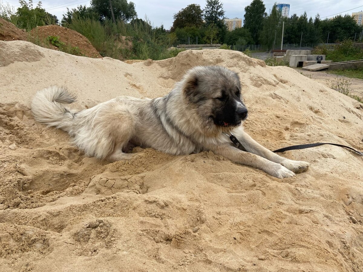 Лея играет на куче песка