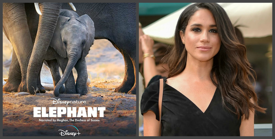 Фото из сети Интернет