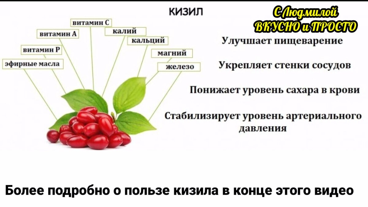 Самый правильный способ сохранить кизил на зиму, чтобы сохранились все его  полезные свойства | Людмила Плеханова Готовим вместе. Еда | Дзен