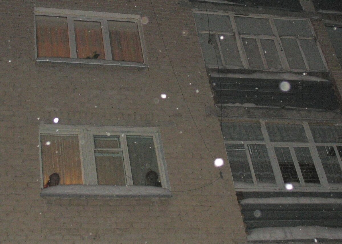 Мама с бабушкой машут из окна