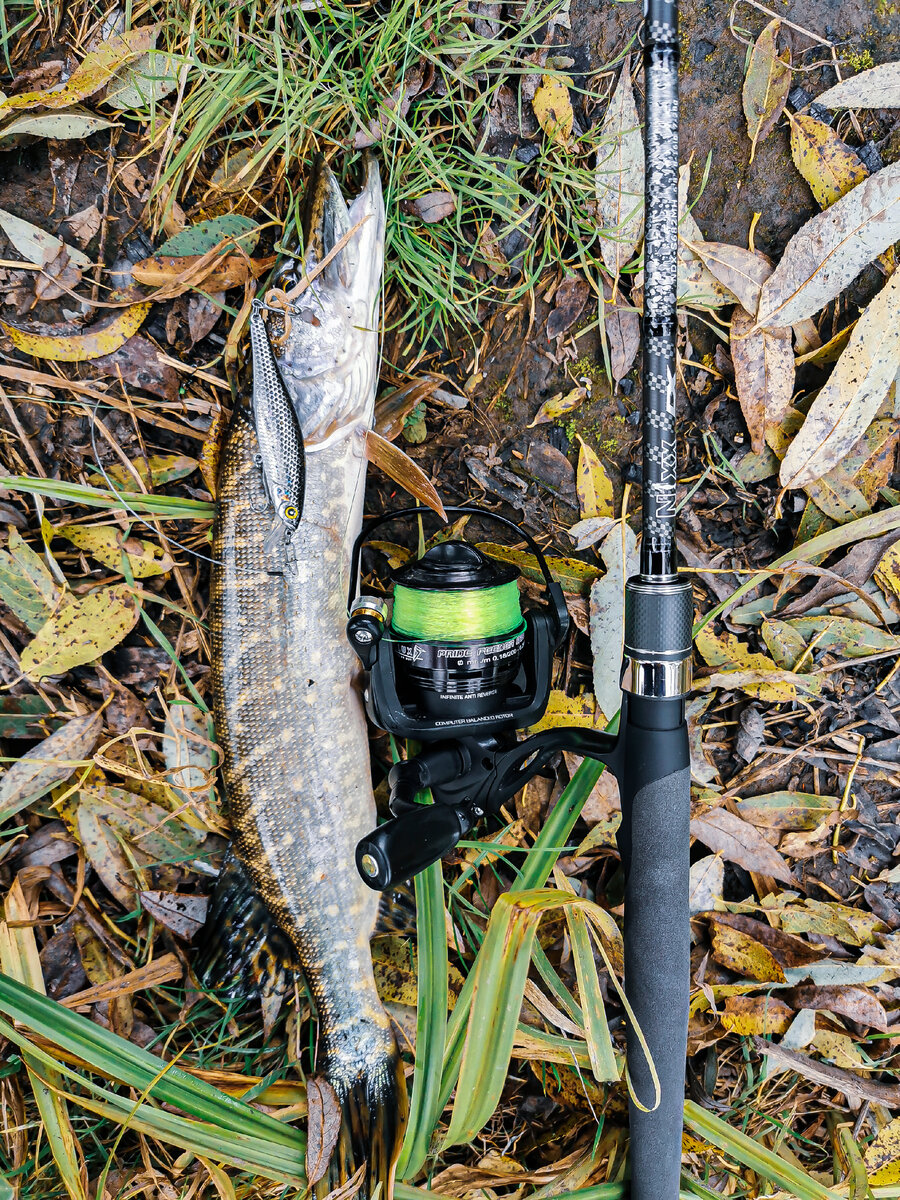 Спиннинг JS Company NIXX DX 