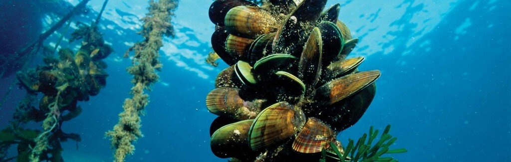 фото: shutterstock.com