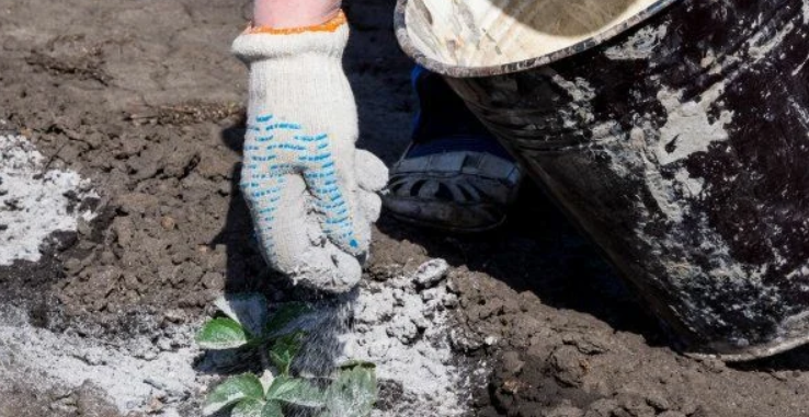 Добавьте описание