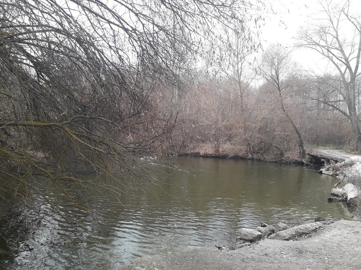 говорят в речушке очень даже приличные щуки водятся. Нужно будет снасти купить - проверить