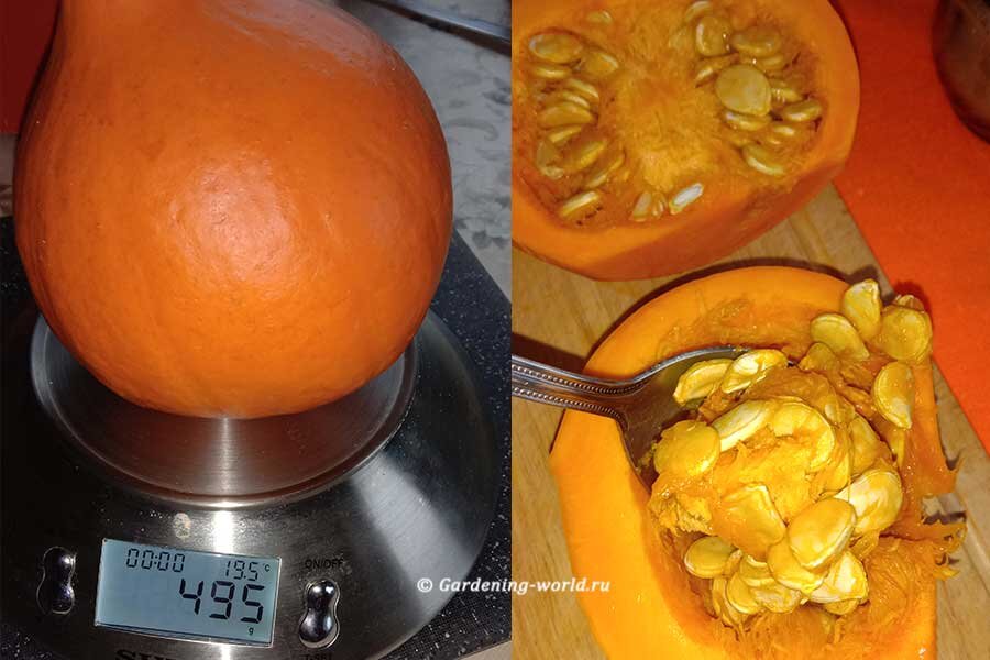 Пшеничная каша с тыквой — вкуснее не ела! Рецепт с фото пошагово - фото автора