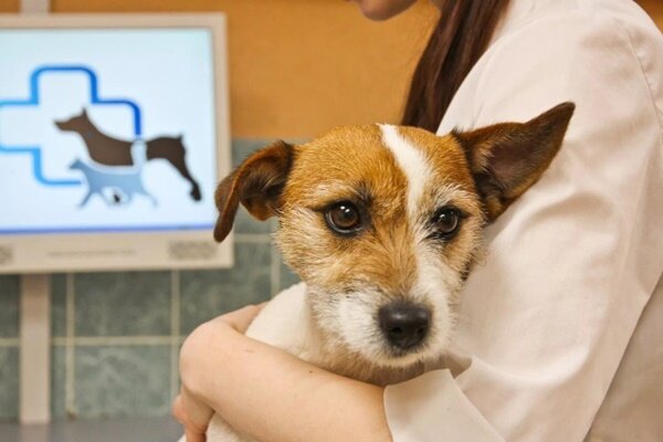 фото novochgrad.ru