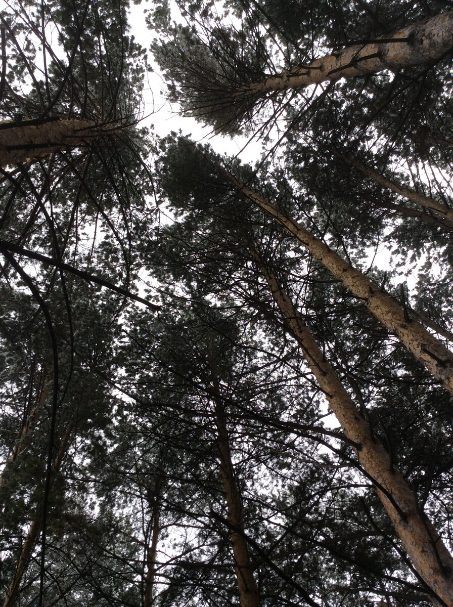 Судьба управляет нами или мы управляем судьбой?