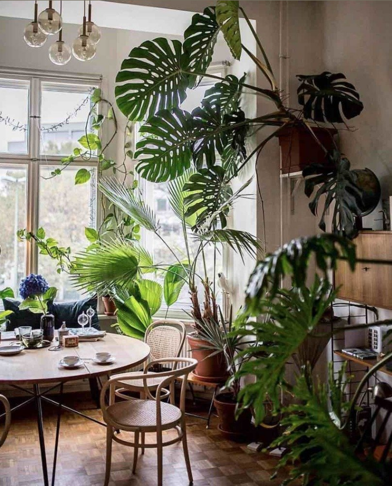 Флористический интерьер. Яндекс картинки.