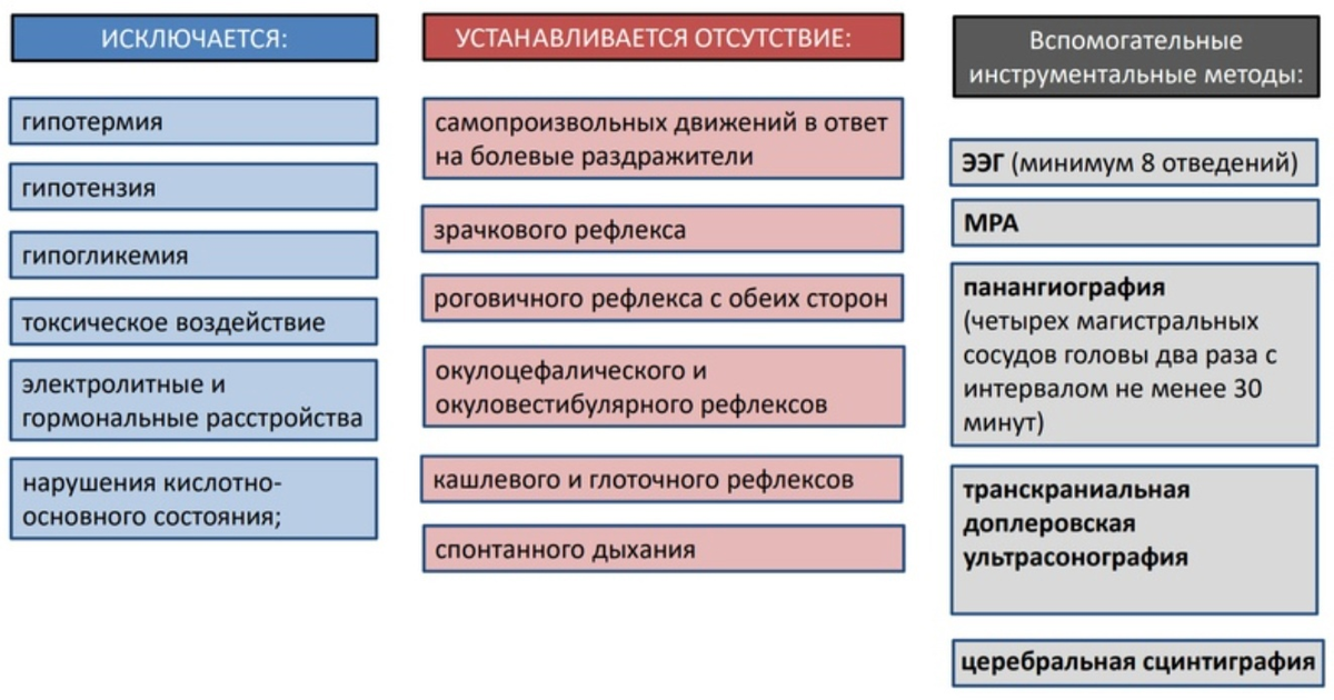 Гражданское право рб в схемах и таблицах