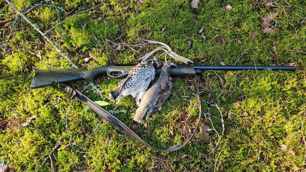 Результаты