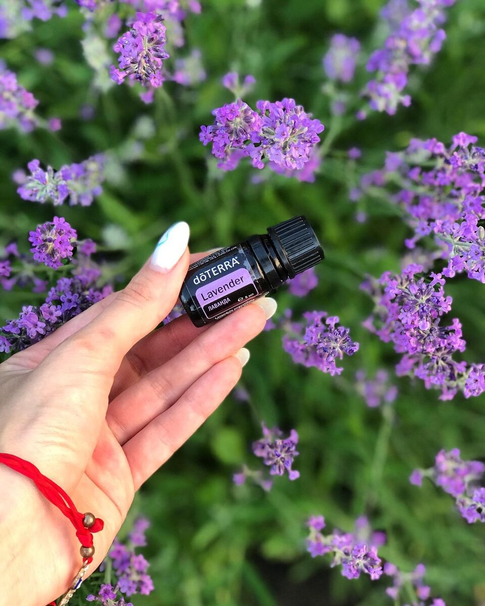 Эфирное масло Лаванды от doTerra