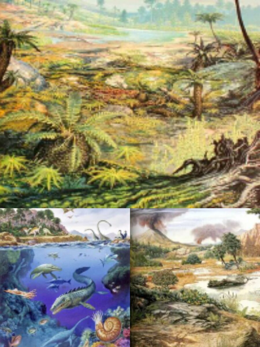 Фотоколлаж автора статьи