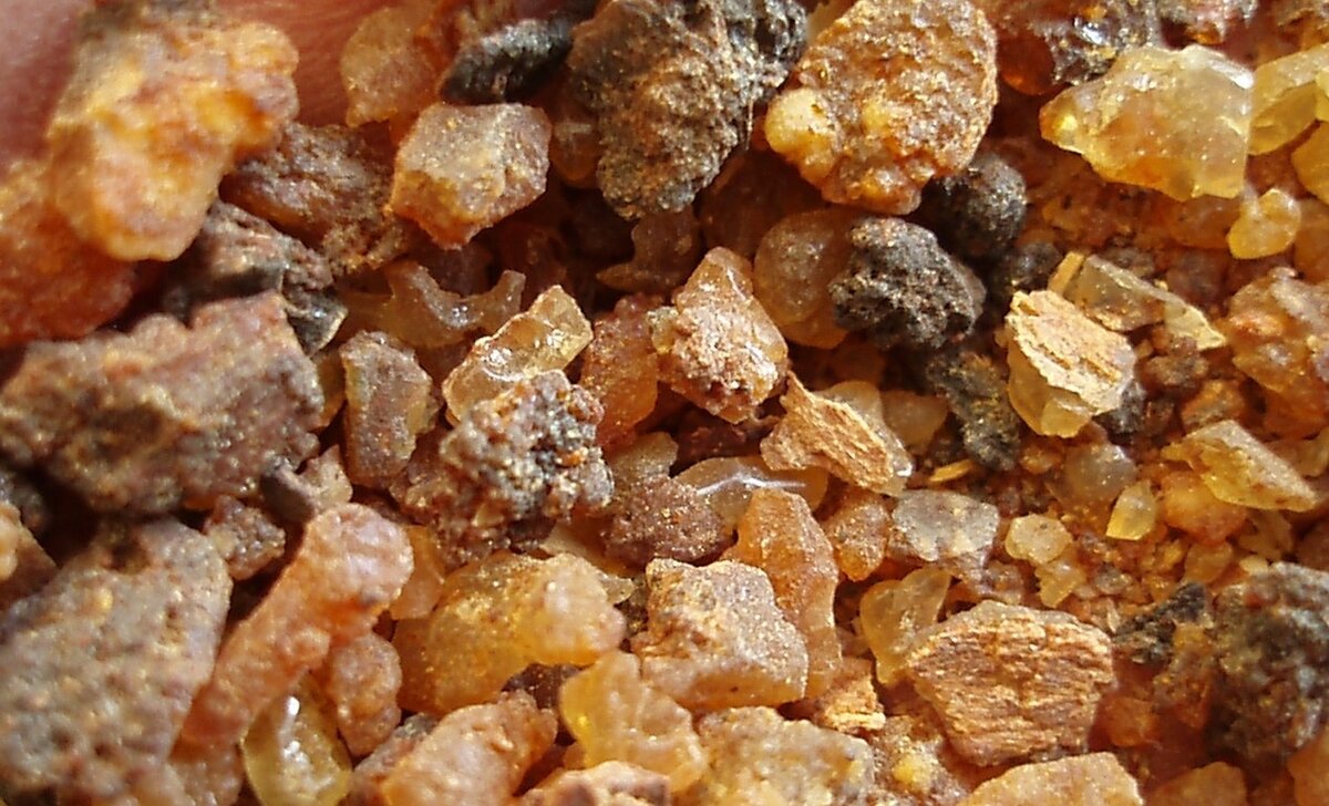 Смола Гуггул. Материал взят с открытых источников.