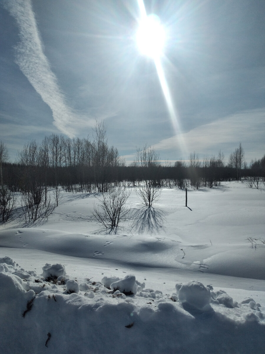 Я вижу небо- в нем тишина...