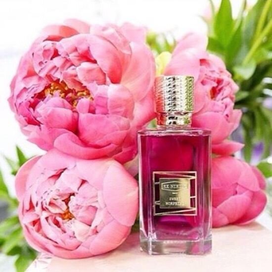 Источник: https://rcm62.ru