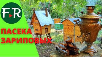 Пчелиный мёд прямо в банки! Поилки для пчёл. Как поймать рой? Устройство омшанника для пчёл.