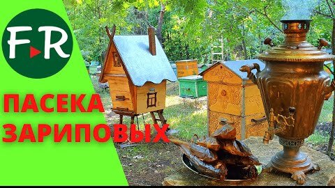 Пчелиный мёд прямо в банки! Поилки для пчёл. Как поймать рой? Устройство омшанника для пчёл.