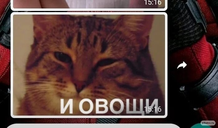 Про меня делают мемы:)