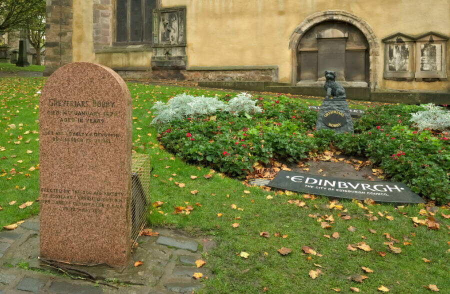 Надгробие в Greyfriars Kirkyard - дань уважения верному псу. 
