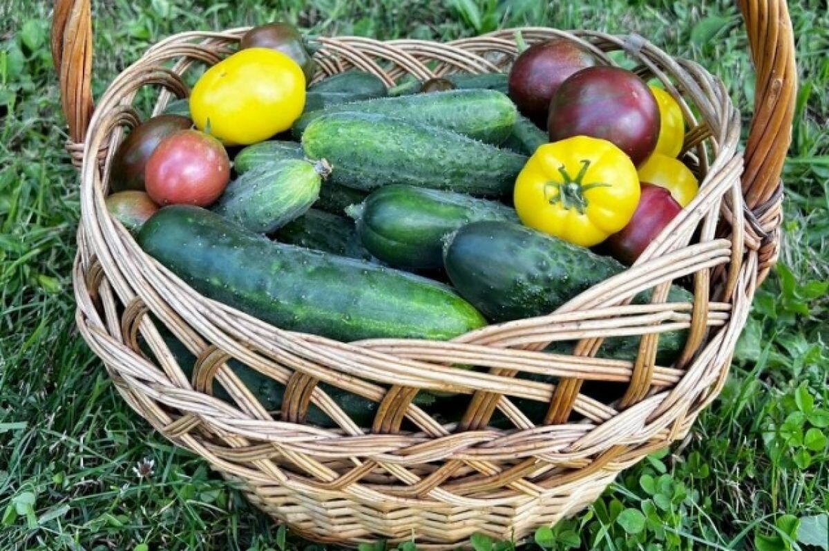    Определились победители фотоконкурса «АиФ-СК» «Удачный сезон»