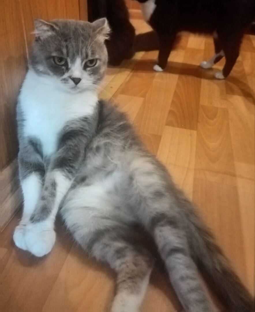 -2