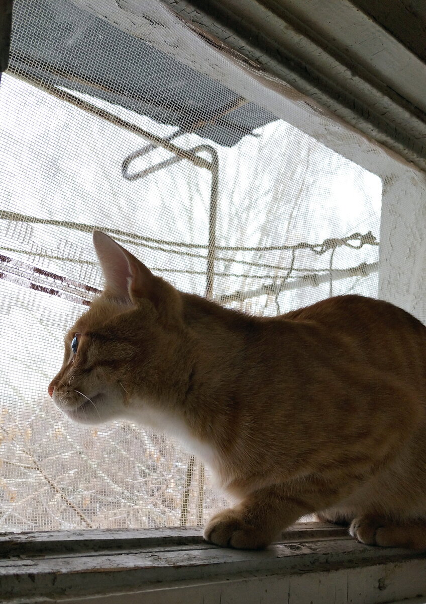 Личное фото.