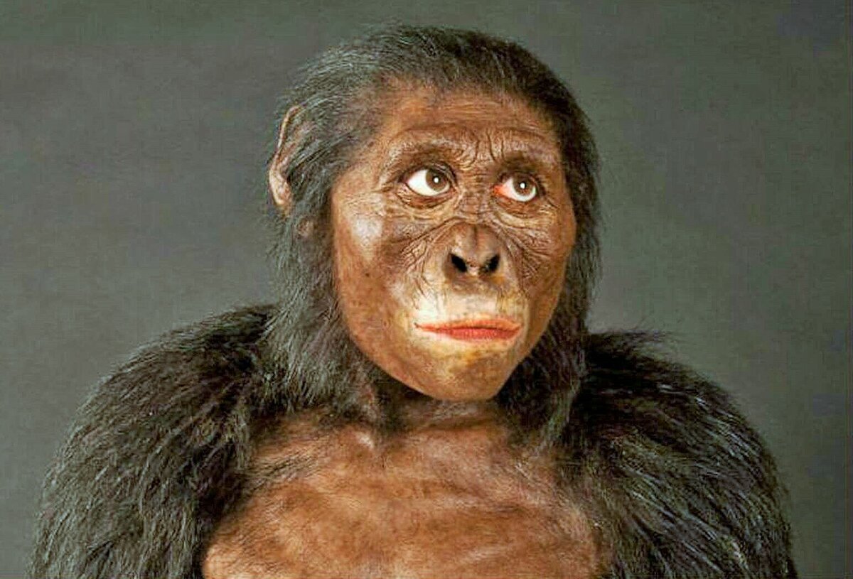 Так (или примерно так) выглядела "праматерь" человечества. Здесь и дальше в статье использованы изображения из открытых источников.