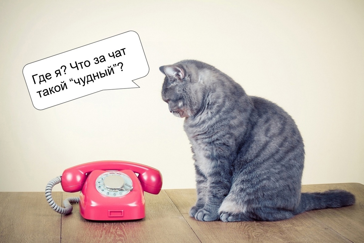 Иногда в недоумении смотришь на сообщения в новом чате, куда тебя кто-то добавил не по твоей воле ))