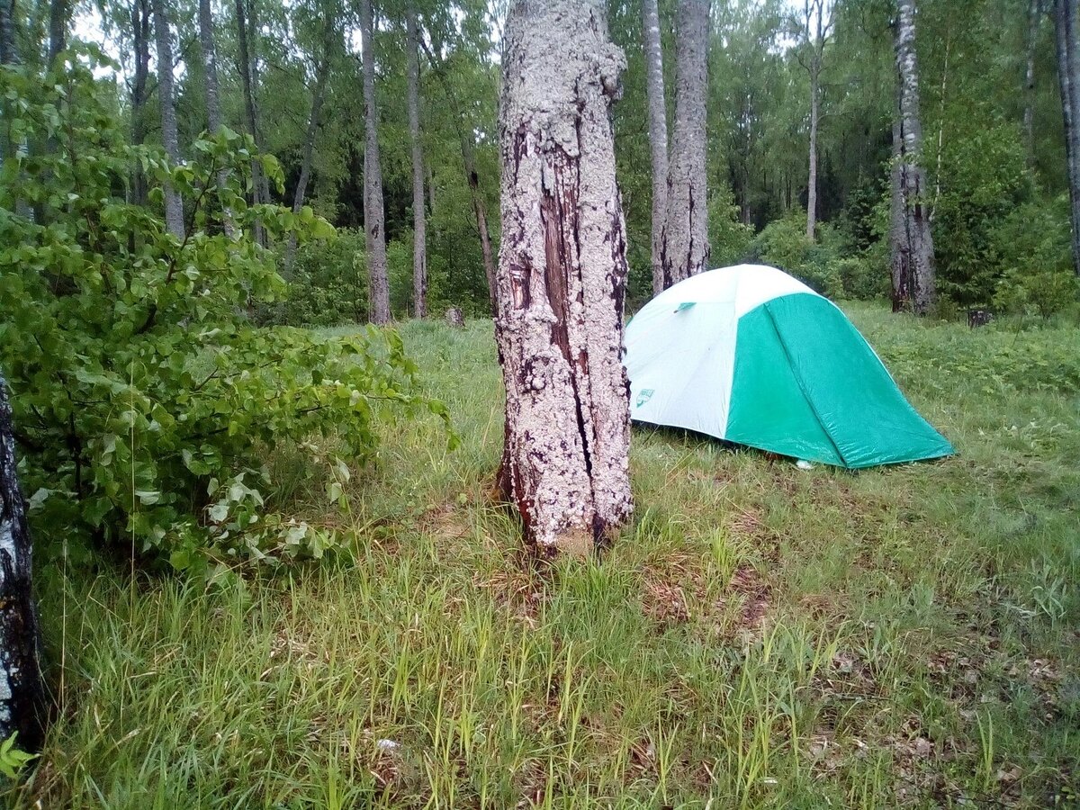 Фото автора канала