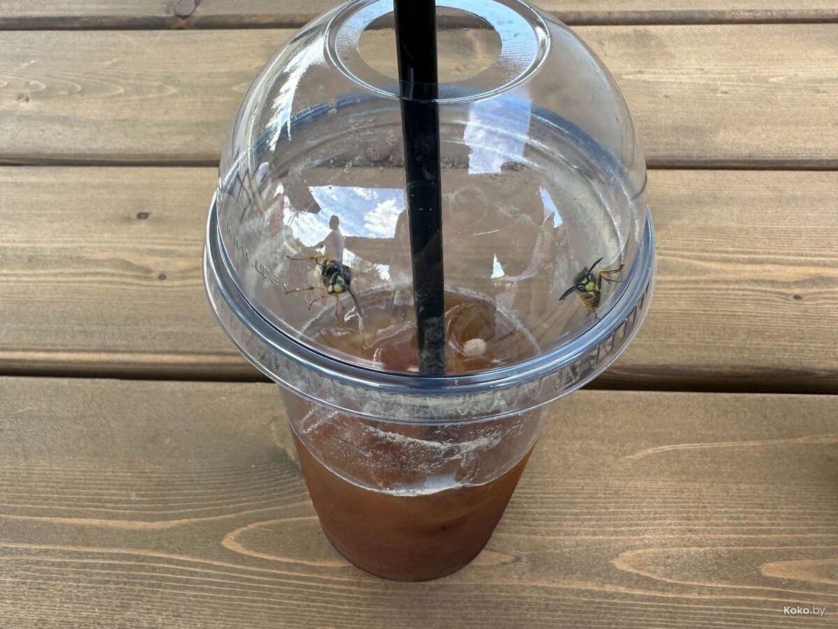 Главная проблема нового парка «Северный берег», заодно исследуем их ...