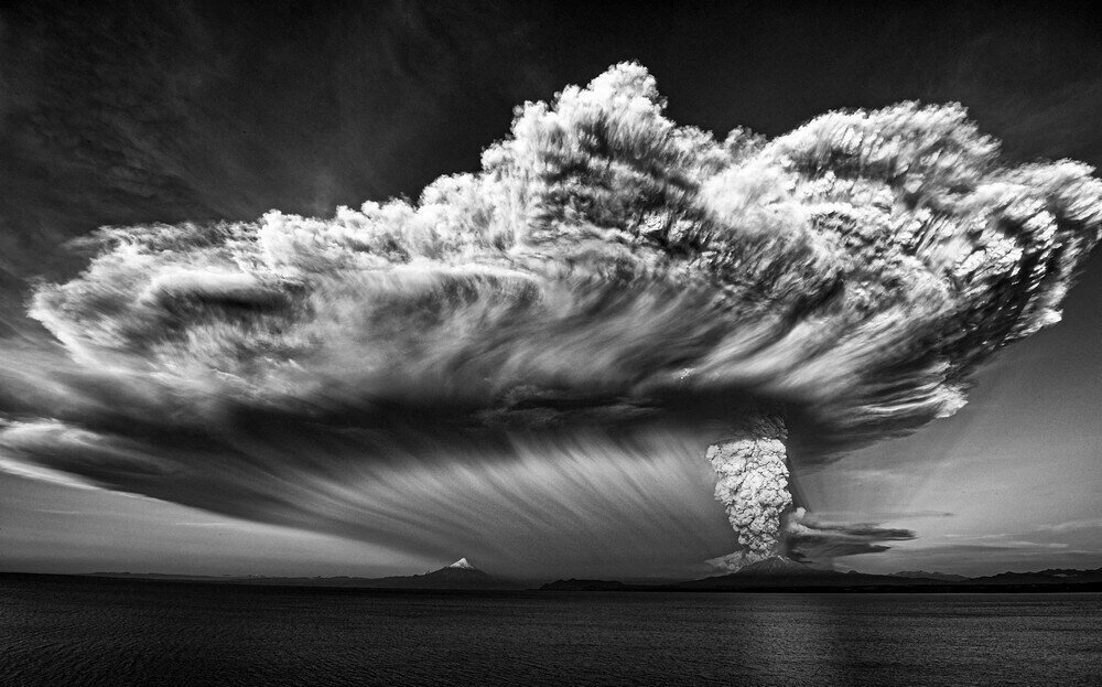 Cote Baeza Pooley. 1 место - Фурия