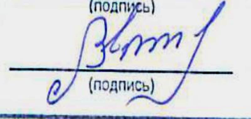 Фото: Экспертное мнение