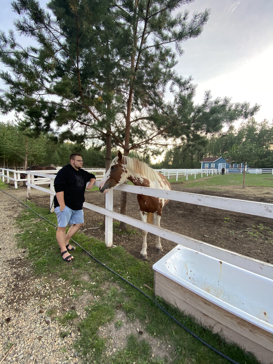 Отдыхаем на природе в окружении лошадок и иной живности