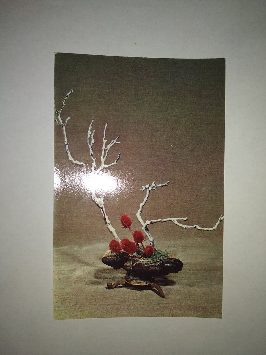 "Зимние мотивы". Композиция Е. Самоваровой. 1976 г.