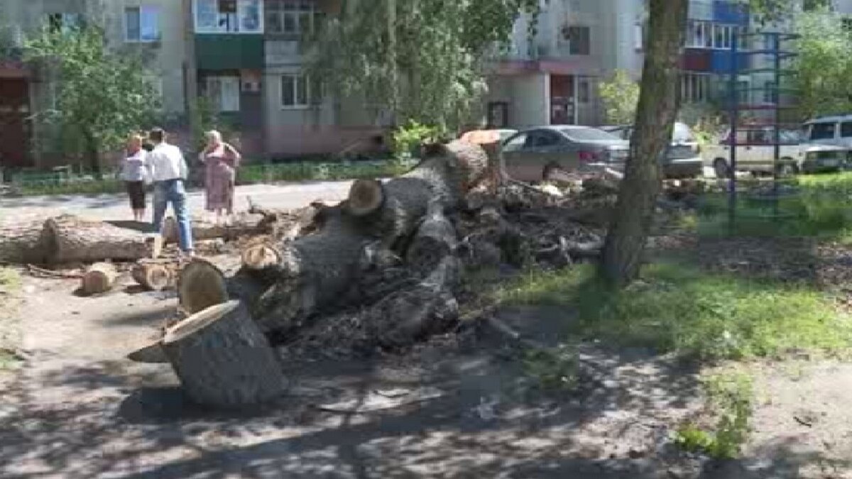    В Курске жители дома №5 на улице Кулакова возмущены бездействием управляйки