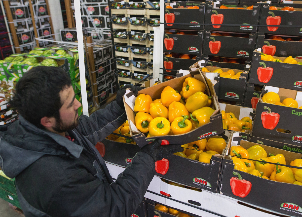 Фото: Сергей Бобылев/ТАСС