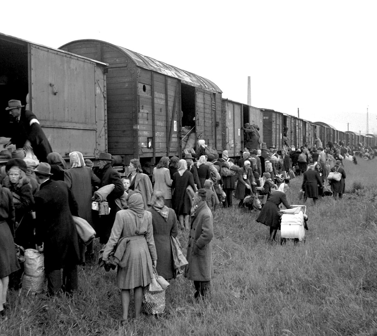 Эвакуация в ссср во время. Переселение немцев из Поволжья 1941. Депортация немцев Поволжья в 1941 году. Депортация немцев Поволжья в 1941 году из Палласовки Бернгардт. Депортация советских немцев из Крыма 1941.