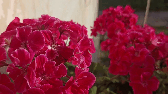 ������ ����� � ����� ������ ������ ������� ����������. ��-��, ��� ��� ������ � ������ � ���������. ���� ������ ��������, ��������� �������� �� �������� ������.-3