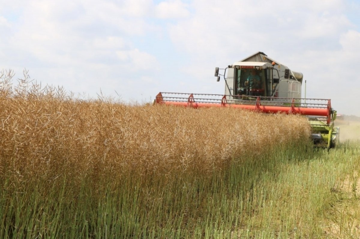    В Новоржевском районе задержали пьяного комбайнёра