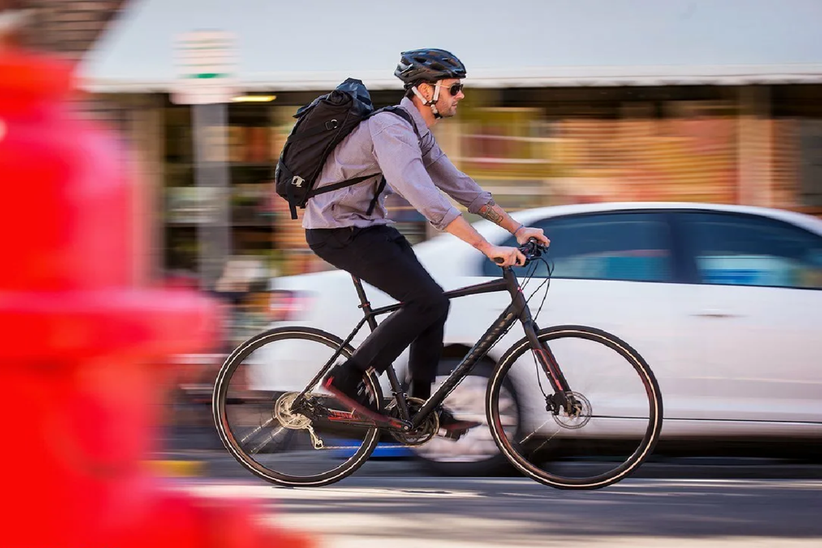 Фотография из открытого источника Яндекс Картинки