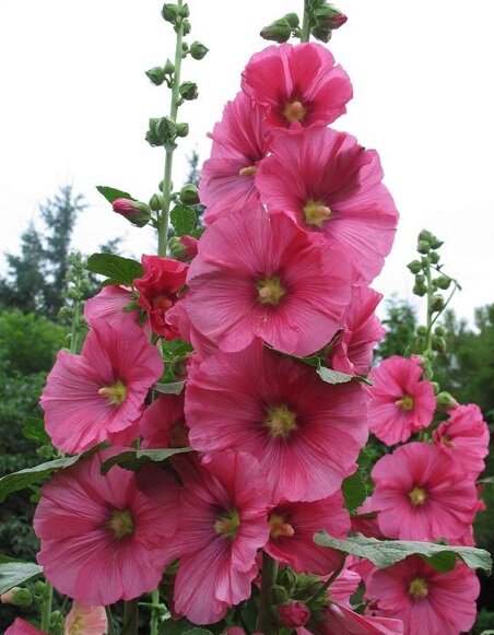 Источник фото Яндекс картинки