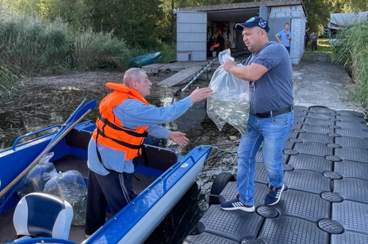    В Куршский залив выпустили девять тысяч мальков сига