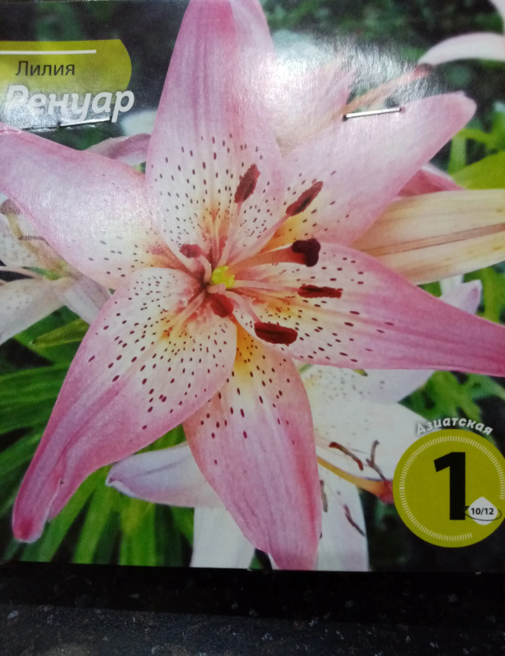 Такая на картинке