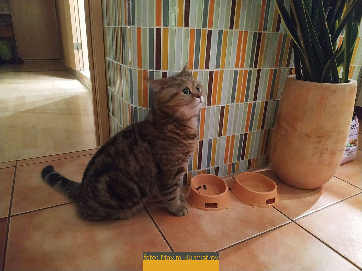 Поели, можно и поиграть!